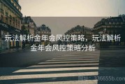 玩法解析金年会风控策略，玩法解析金年会风控策略分析