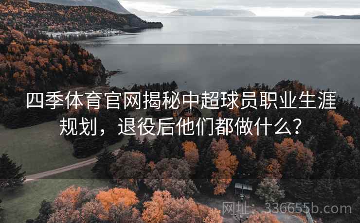 四季体育官网揭秘中超球员职业生涯规划，退役后他们都做什么？