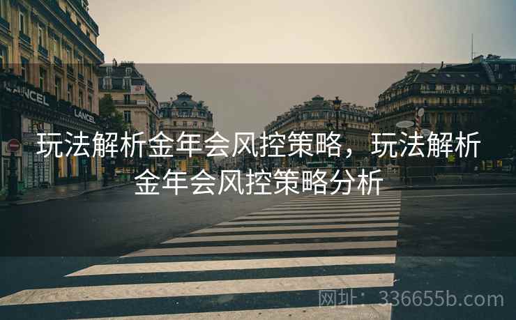 玩法解析金年会风控策略，玩法解析金年会风控策略分析