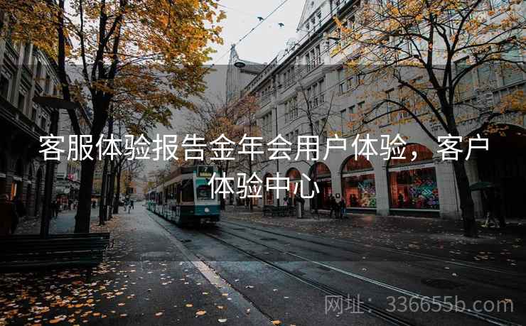 客服体验报告金年会用户体验，客户体验中心