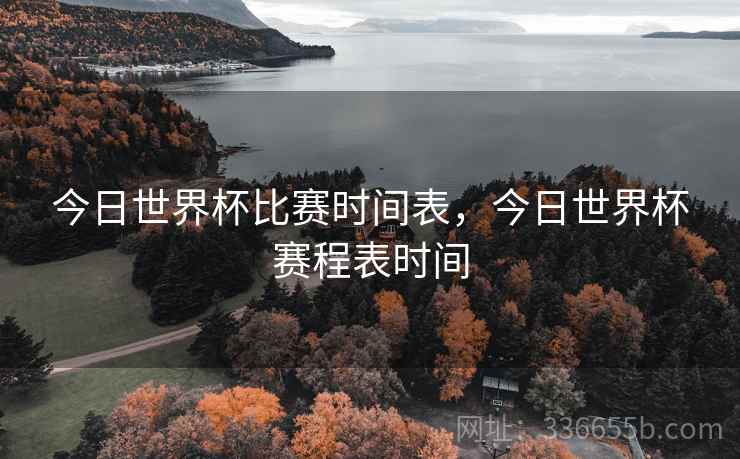 今日世界杯比赛时间表，今日世界杯赛程表时间
