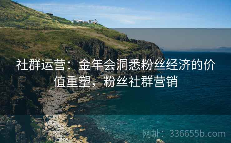 社群运营：金年会洞悉粉丝经济的价值重塑，粉丝社群营销
