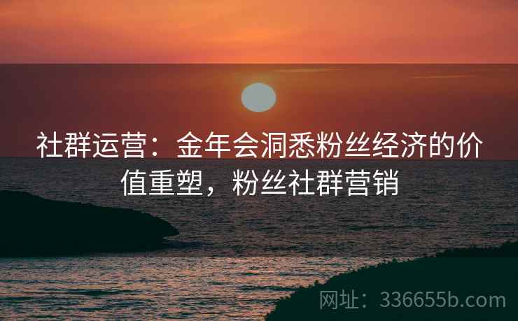 社群运营：金年会洞悉粉丝经济的价值重塑，粉丝社群营销