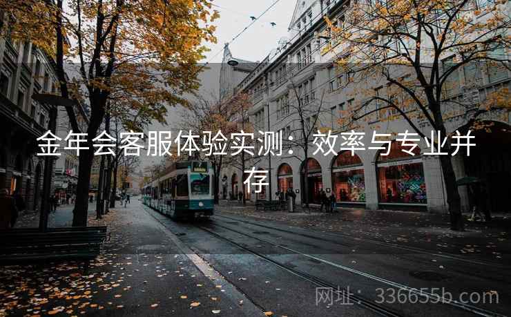 金年会客服体验实测：效率与专业并存